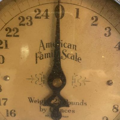 American family 25# scale