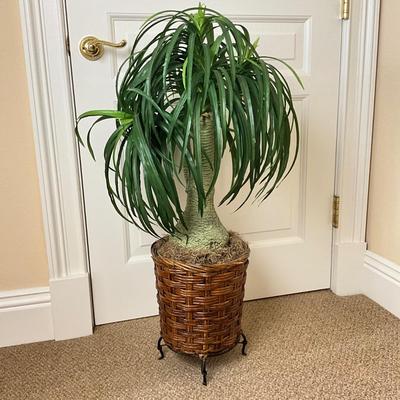 831 Large Artificial Ponytail Palm Tree