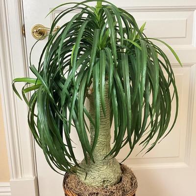 831 Large Artificial Ponytail Palm Tree