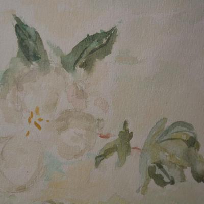 Framed & Matted Original Floral Watercolor by Margaret E.