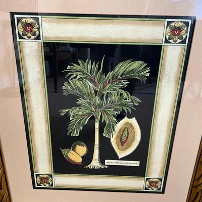 860 Lot of Two Palm Tree Framed Prints