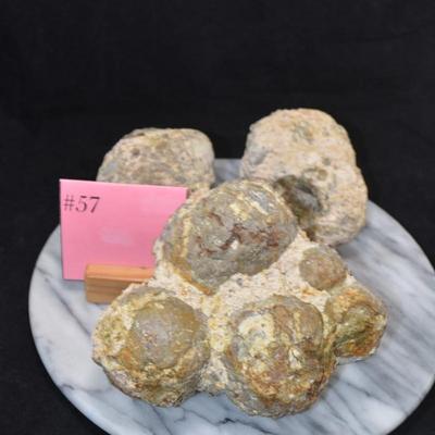 Lot of Uncut Geodes