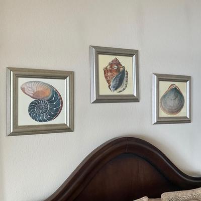 954 Set of 3 Framed Shell Decorative Prints