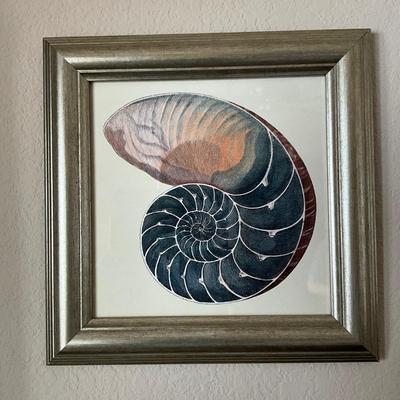 954 Set of 3 Framed Shell Decorative Prints