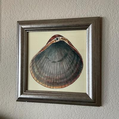954 Set of 3 Framed Shell Decorative Prints