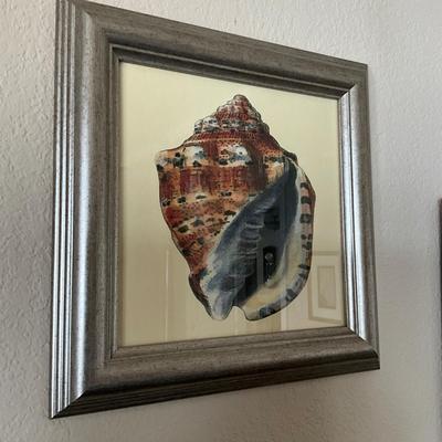 954 Set of 3 Framed Shell Decorative Prints