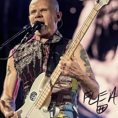 Red Hot Chili Peppers Flea signed photo