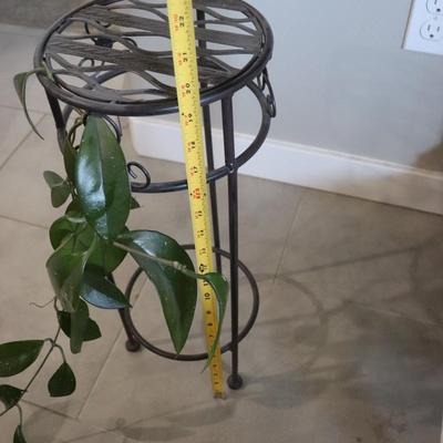 Houseplant and stand