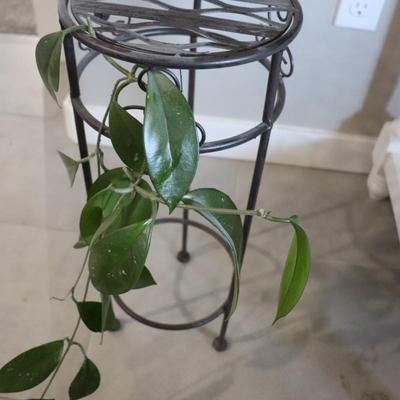 Houseplant and stand