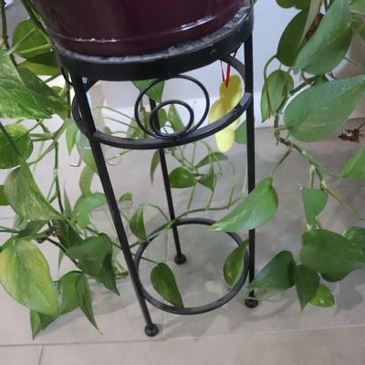 Houseplant and stand