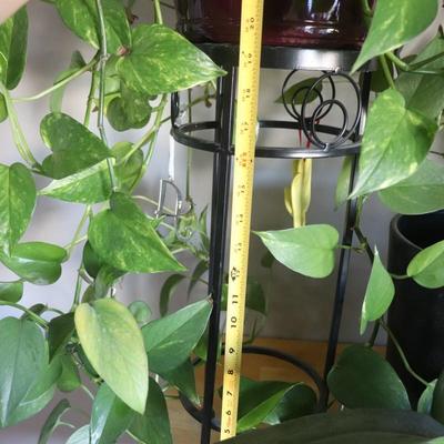 Houseplant and stand