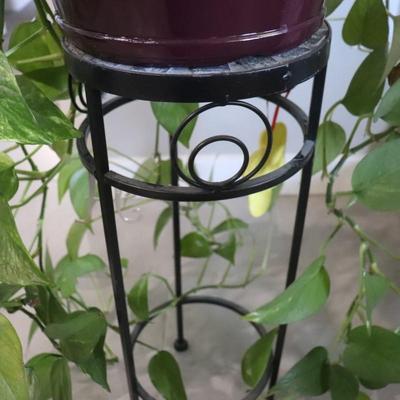 Houseplant and stand