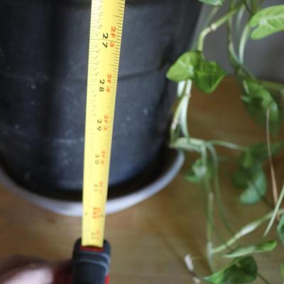 Houeplant w/ planter