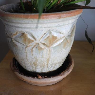 Houseplant with planter