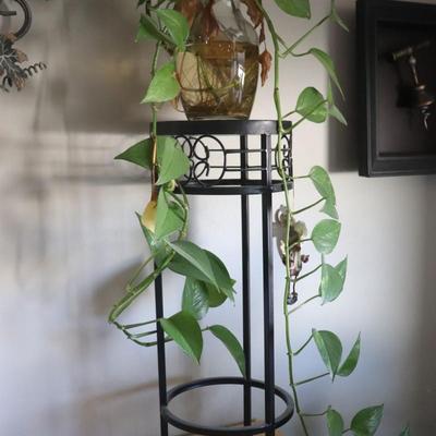 Small starter houseplant with stand