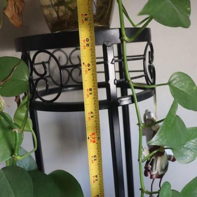 Small starter houseplant with stand