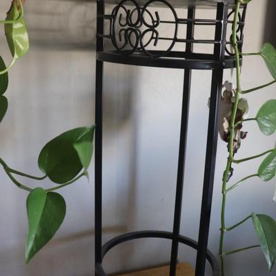 Small starter houseplant with stand