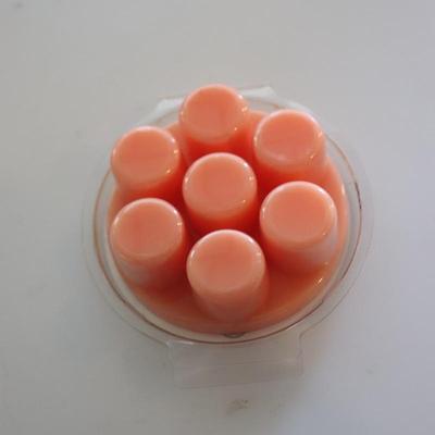 Scentsy Lot with warmer and bars