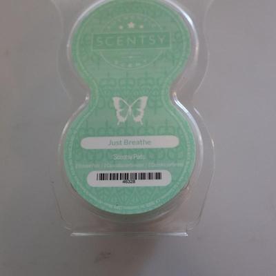 Scentsy Lot with warmer and bars