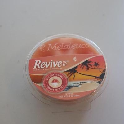 Scentsy Lot with warmer and bars