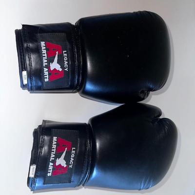 Boxing gloves