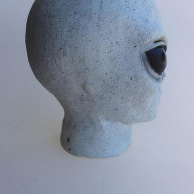 Grey Alien Head