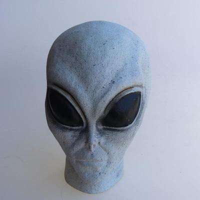 Grey Alien Head
