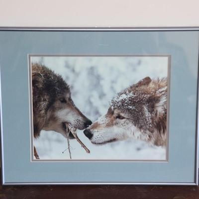 Wolf picture in a teal photo frame