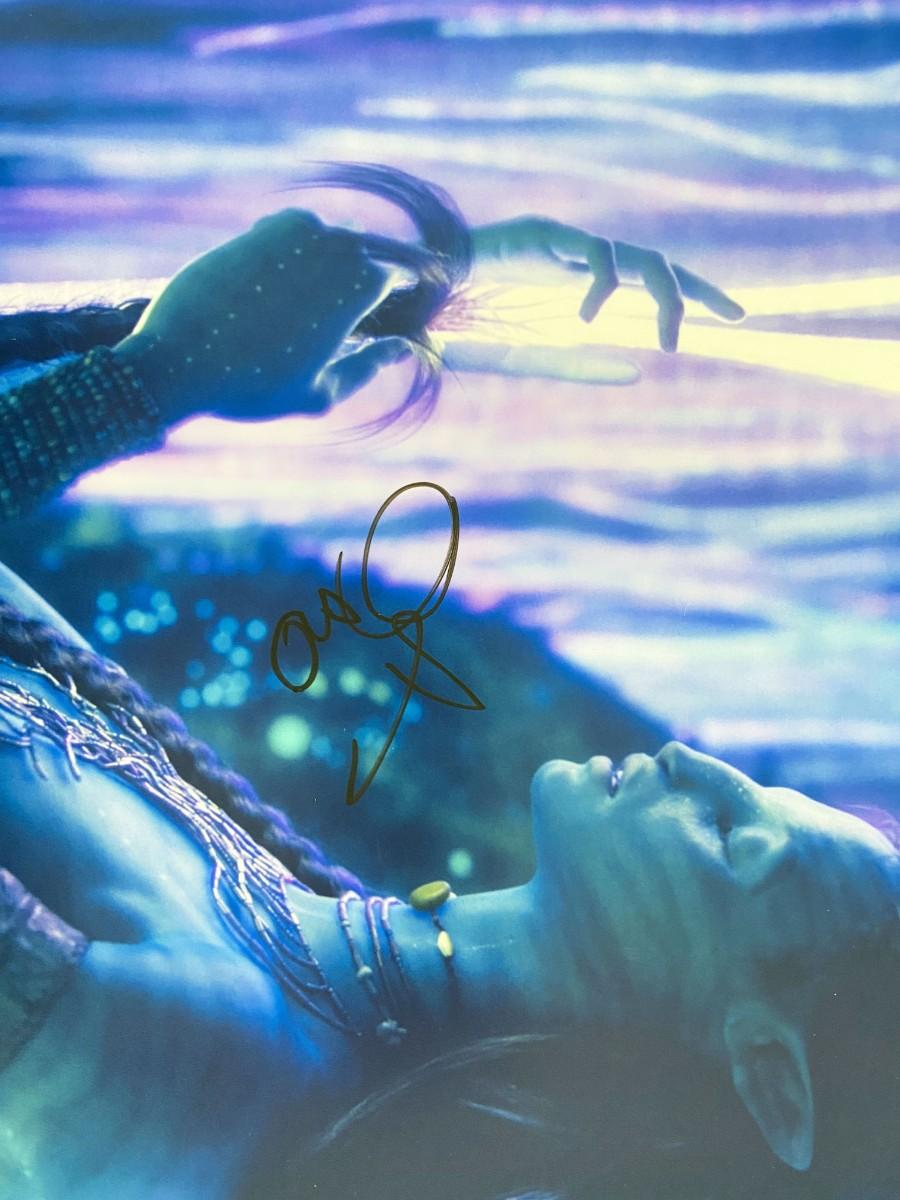 Avatar Zoe Saldana signed movie photo