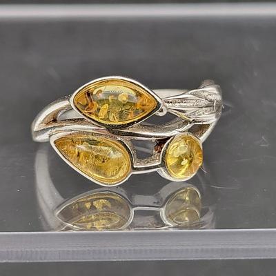 Amber Variety Rings (3)