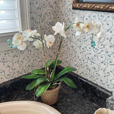 966 Silk NDI Orchid Plant