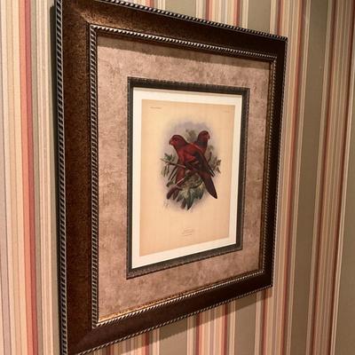 1005 Framed Colored Bird Lithograph