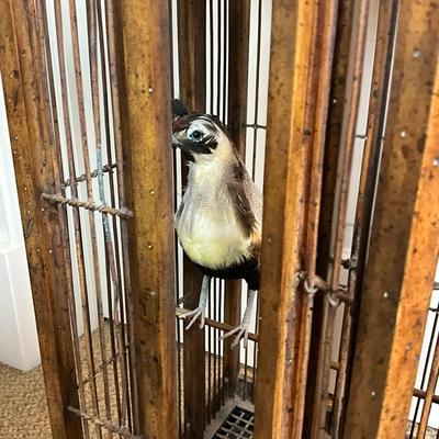 887 Rattan Birdcage
