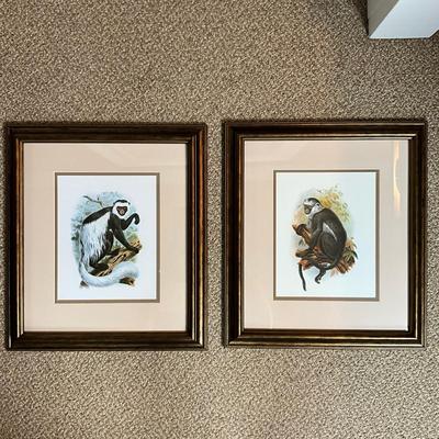 891 Pair of Framed Monkey Prints