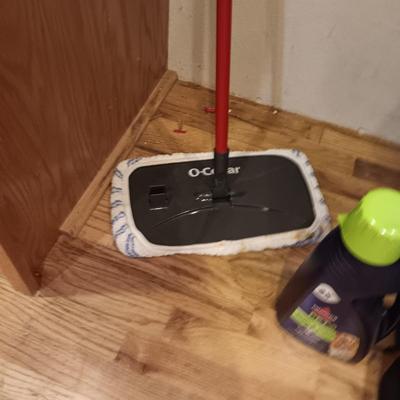 BISSELL CARPET CLEANER, CARPET SHAMPOO AND FLOOR DUSTER