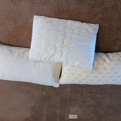 MY PILLOW, UNDER THE CANOPY AND THE BIG ONE PILLOWS