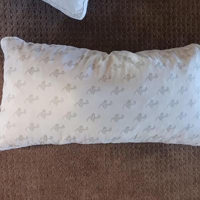 MY PILLOW, UNDER THE CANOPY AND THE BIG ONE PILLOWS