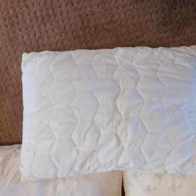 MY PILLOW, UNDER THE CANOPY AND THE BIG ONE PILLOWS
