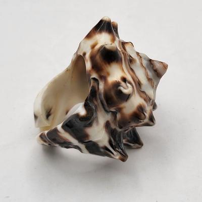 Shell Encrusted Heart Box & Two Large Shell Rings