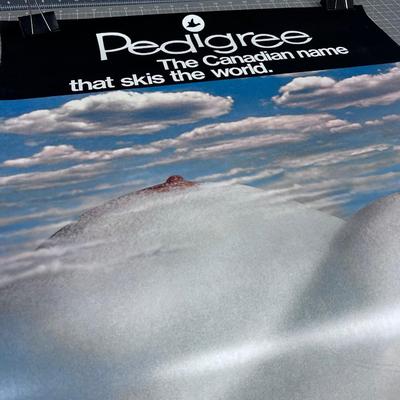 Pedigree Canadian Name that Skis the World. Ski the Big ones! Collectible