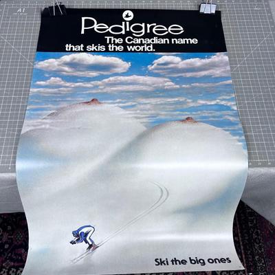 Pedigree Canadian Name that Skis the World. Ski the Big ones! Collectible
