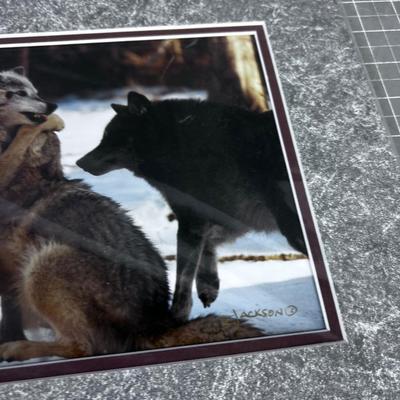 R Jackson Photograph "GROUP HUG" Timber Wolves Montana