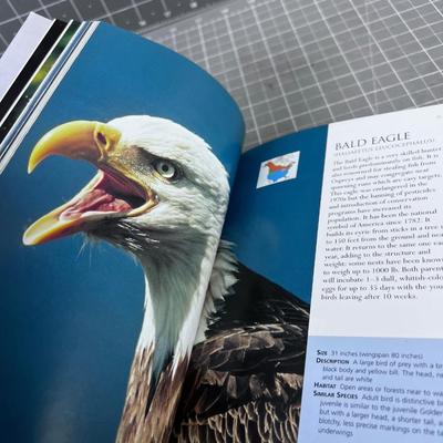 Field Guide to BIRDS of North America