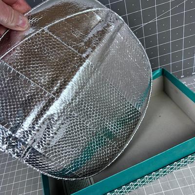 Jay Renee Silver Clutch Snake Skin Appearance