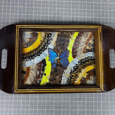 UNIQUE Real Feather and Butterfly Wing TRAY