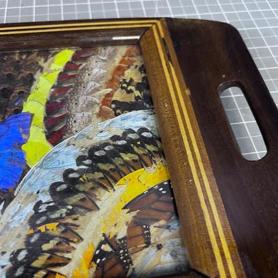 UNIQUE Real Feather and Butterfly Wing TRAY