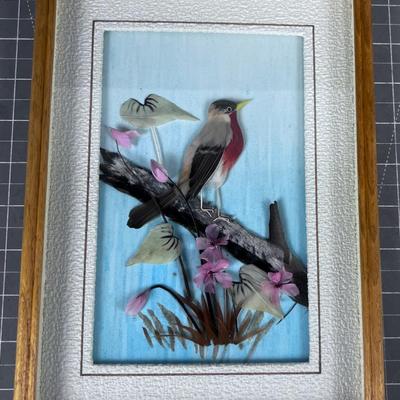 Fascinating Bird Picture made of Authentic Feathers. 