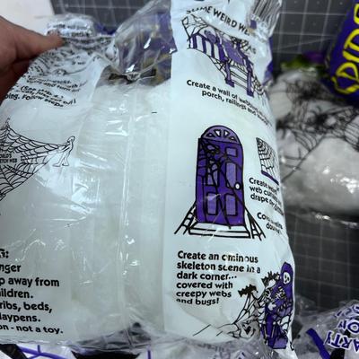 10 Packages of Spider Web