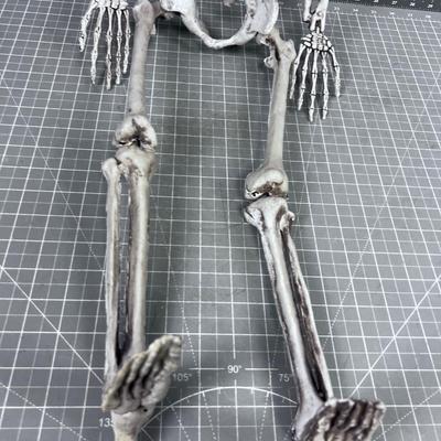 Skeleton Décor 33" long