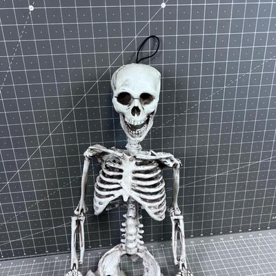 Skeleton Décor 33" long